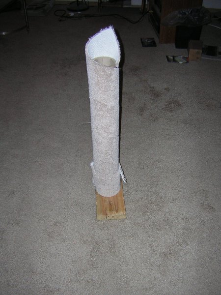 Recneck Scratching Post 2