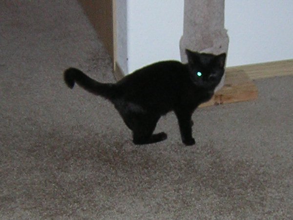 Laser Eye