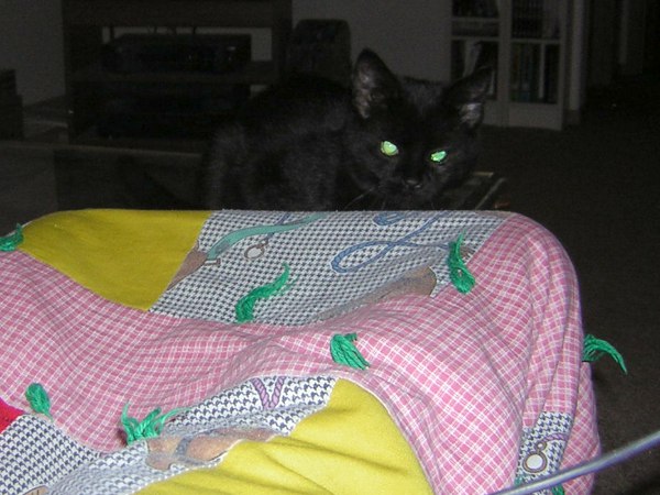 laser eyes