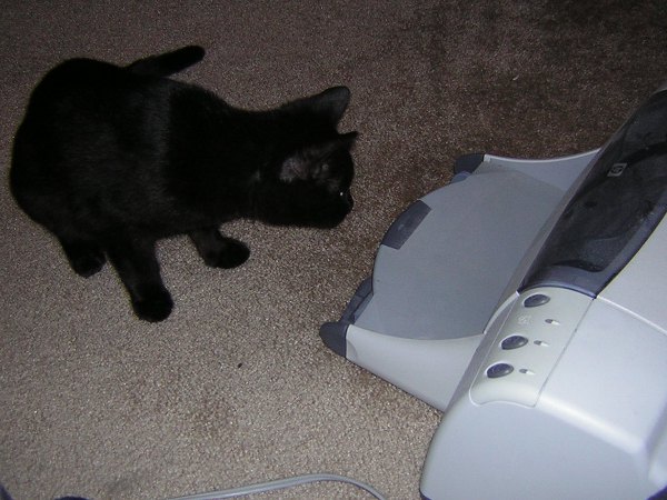 printer