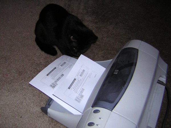 printer 3