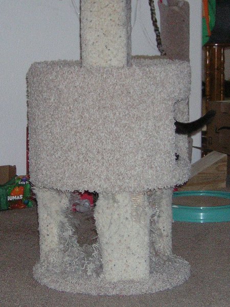 cat tree